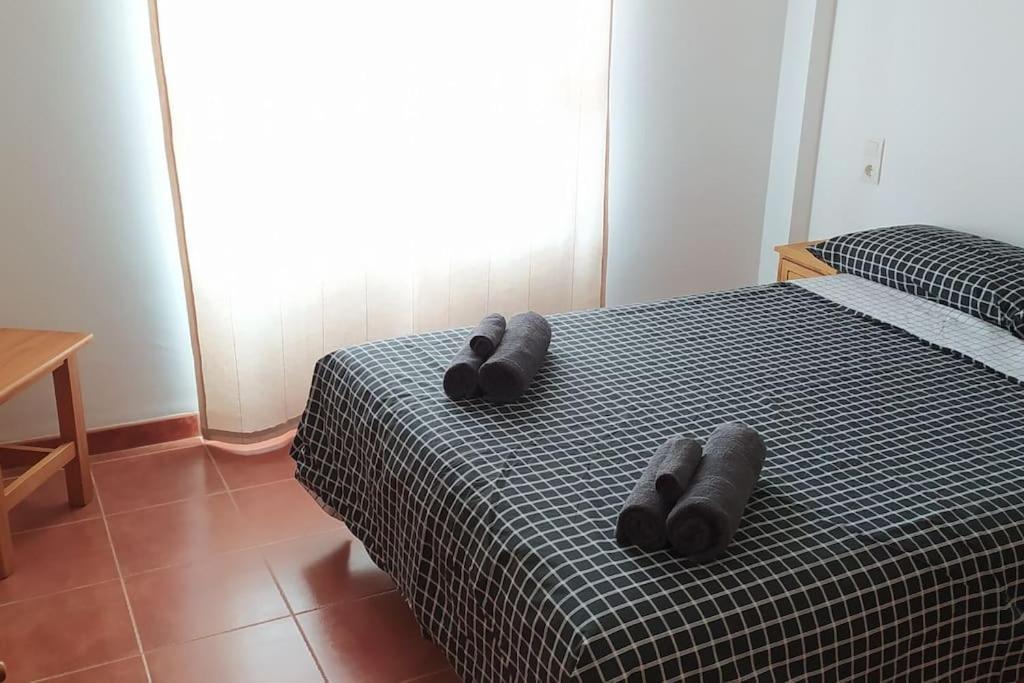 Acogedor En La Playa De Canet Apartment *